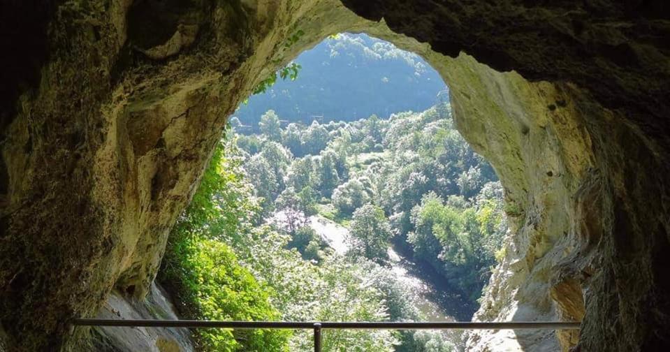 L'Echappee Au Jardin, Yourte Bucolique Godinne Kültér fotó